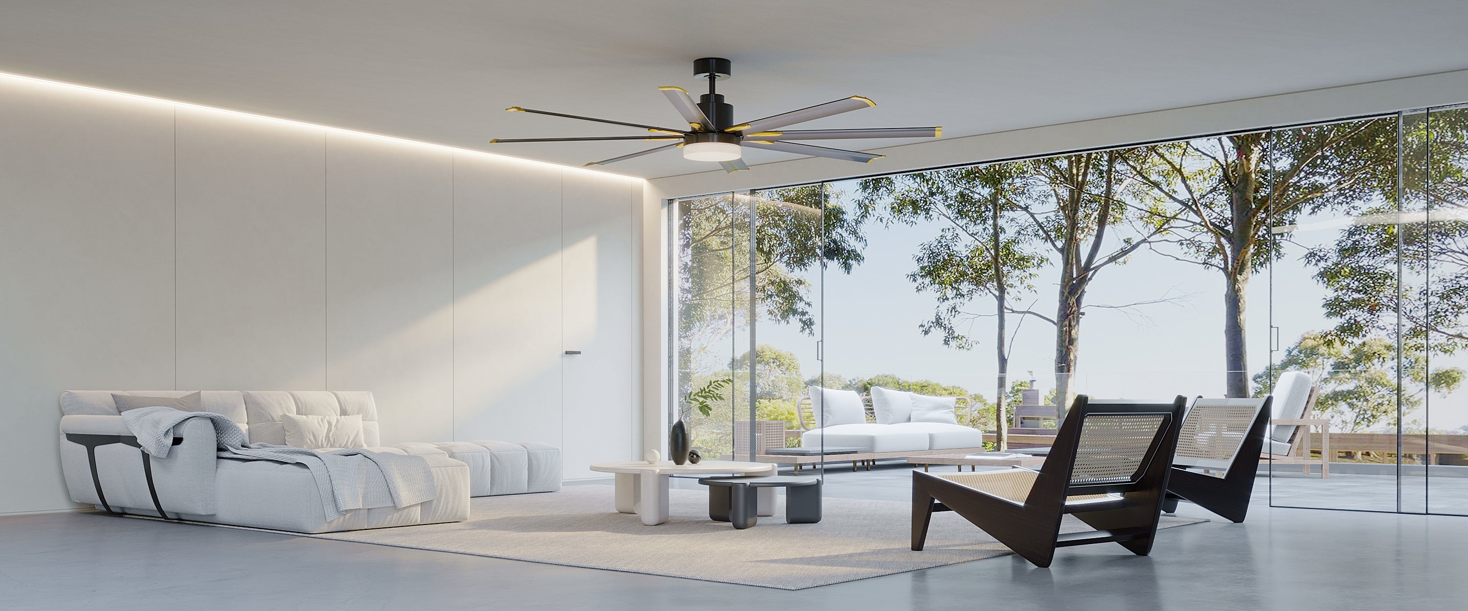 the Amico light membership