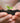 About Amico company-Sustainablity