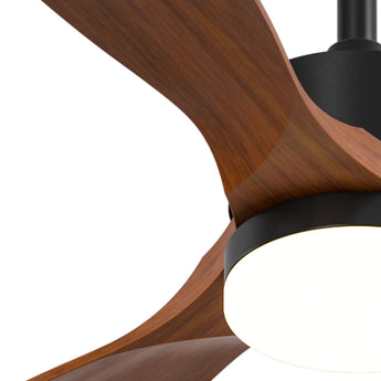 52" Ceiling Fan with Light & Remote, 3 Wood Blades, 6 Speeds, 3CCT Dimmable, Reversible, Quiet – Indoor/Outdoor Black Walnut - 4
