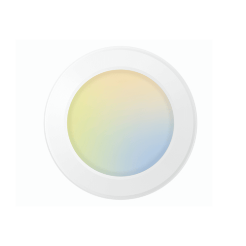 Disk