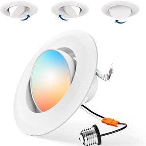 4 Inch Retrofit Eyeball Gimbal Can Lights, Slim Design, Selectable CCT, 650 Lumens