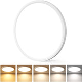12-Inch Ultra-Slim LED Flush Mount Ceiling Light 5CCT Color Selectable 2400LM Bright ETL/FCC-1