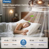 20 Inch Farmhouse Caged Ceiling Fans with Lights and Remote, Black Downrod Mount Bladeless Fandelier, 6 Speeds Bladeless Ceiling Fan Light for Bedroom, Kitchen, Living Room, Indoor - 3