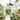20 Inch Outdoor Ceiling Fan with Light for Patio, IP65 Waterproof Plug in Caged Hanging Fan, Remote Control, 3 CCT, 6 Speeds Reversible Outdoor Fan for Gazebo, Pergola, Porch-2