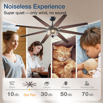 Ceiling Fan with Light – 65", 8 - Blade, Reversible DC Motor, 3CCT, Dimmable - 3