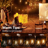 ST38 Outdoor String Lights, LED Shatterproof Bulbs, Suspended Standard Sockets, 3 Lighting Modes - 3