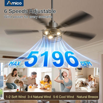 52-Inch Black Farmhouse Caged Ceiling Fan with Light, Remote Control, 3CCT Dimmable Quiet-10