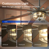Ceiling Fan with Light – 65", 8 - Blade, Reversible DC Motor, 3CCT, Dimmable - 5