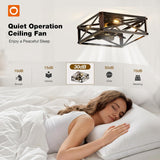 6 Speed Reversible Caged Ceiling Fan with Light Remote, Rustic Square Flush Mount Farmhouse Fandelier - 6