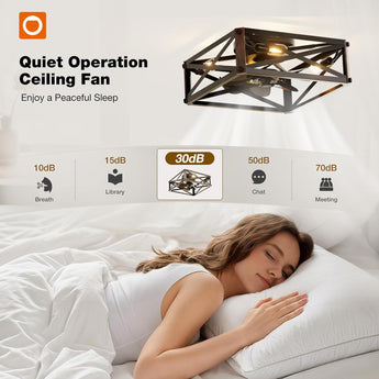 6 Speed Reversible Caged Ceiling Fan with Light Remote, Rustic Square Flush Mount Farmhouse Fandelier - 6