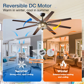 Ceiling Fan with Light – 65", 8 - Blade, Reversible DC Motor, 3CCT, Dimmable - 6