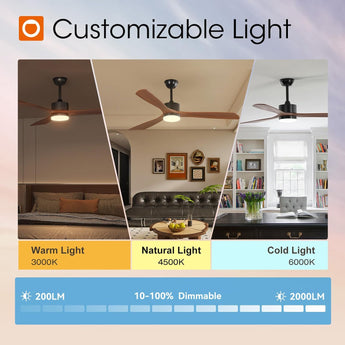60" Ceiling Fan with Light & Remote, 3 Wood Blades, 6 Speeds, 3CCT Dimmable, Reversible, Quiet – Indoor/Outdoor Black Walnut - 5