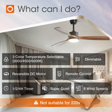 52" Ceiling Fan with Light & Remote, 3 Wood Blades, 6 Speeds, 3CCT Dimmable, Reversible, Quiet – Indoor/Outdoor Black Walnut - 5