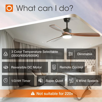 52" Ceiling Fan with Light & Remote, 3 Wood Blades, 6 Speeds, 3CCT Dimmable, Reversible, Quiet – Indoor/Outdoor Black Walnut - 5