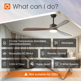 60" Ceiling Fan with Light & Remote, 3 Wood Blades, 6 Speeds, 3CCT Dimmable, Reversible, Quiet – Indoor/Outdoor Black Walnut - 2