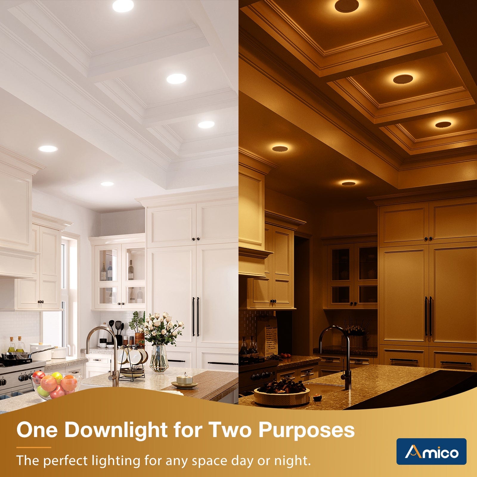 One Downlight for Two Purposes, the perfect lighting for any space day or night.