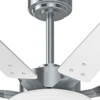 Amico 64" Ceiling Fan with Light & Remote – Dimmable, 6 - Speed Reversible DC Motor, Quiet Modern Black Fan for Living Room, Kitchen & Patio - 26